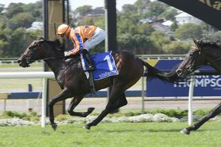 Cool Aza Beel (NZ) dominates the Group One $200,000 Sistema Stakes (1200m). Photo: Trish Dunell